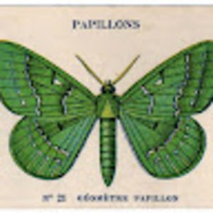 Meet your Posher, Priscila